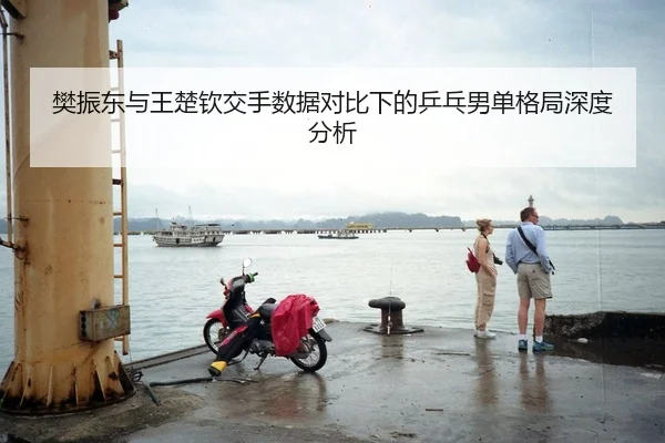樊振东与王楚钦交手数据对比下的乒乓男单格局深度分析