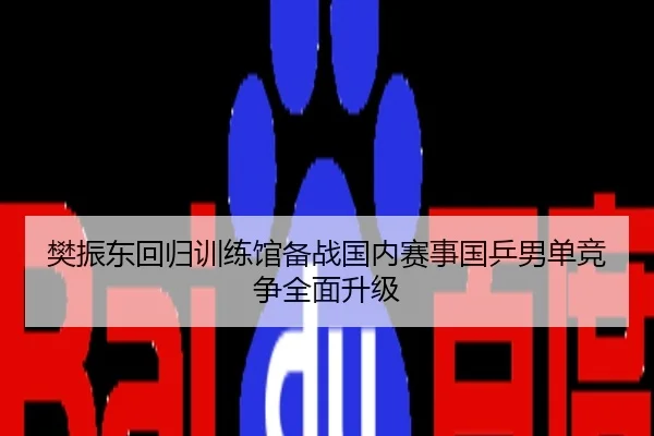 樊振东回归训练馆备战国内赛事国乒男单竞争全面升级